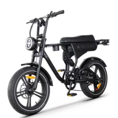 e-fatbike